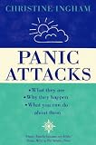 Panic Attacks: What they are, why the happen, and what you can do about them: What They Are, Why They Happen and What You Can Do About Them