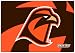Bowling Green State University for Pavilion dv9000