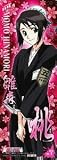 BLEACH THE CARD GUM (�֥꡼�� ���������ɥ���) ��11�� ��Ǯ������� ��No.5 ��������(����)