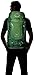 Osprey Packs Kestrel 38 Backpack, Jungle Green, Small/Medium