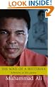 The Soul Of A Butterfly: Reflections on Life's Journey