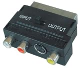 Lindy SCART-/ S-VHS-/ AV-Adapter (Scart m/SVHS+3xRCA f) mit Umschalter Line In-Out