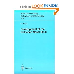 Development of the Cetacean Nasal Skull (Advances in Anatomy, Embryology and Cell Biology) by Milan Klima