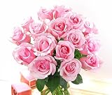 Sweet Sixteen Roses