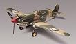 1/48 P-40B Tiger Shark