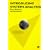 Introducing Systems Analysis (Palgrave computer science series)