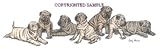 Shar-Pei - Puppies in a Row by Cindy Farmer