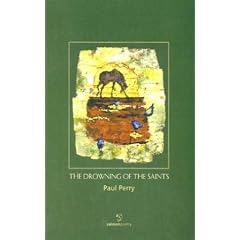 The Drowning of the Saints (Salmon Poetry)