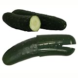 Produce Savers: Cucumber Saver by Evriholder Products