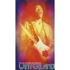 Winterland (Box)