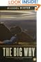 The Big Why : A Novel