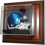 Carolina Panthers Mini helmet Case-Up Display, Brown