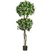 5.5 Ft Eucalyptus Double Ball Topiary Silk Tree