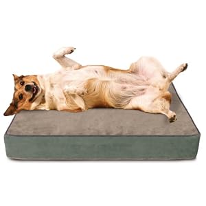 Buddy Beds