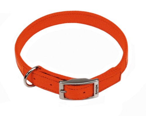 Remington Orange 1-Inch by 28-Inch Reflective Dog Collar