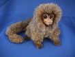Pygmy Marmoset Plush Toy
