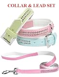 PINK - SMALL - Gemstone Jeweled Collar AND Lead Set