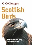 Scottish birds