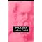 The Great Philosophers Series books