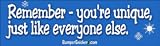 Remember, You're Unique just like everybody else - funny bumper stickers (Medium)