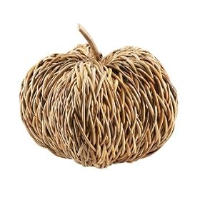 Buy 19 Decorative Arurog Large Pumpkin Table Top Accent by CC Home Furnishings now!