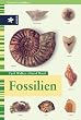 Fossilien
