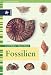 Books : Fossilien.