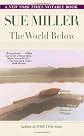 The World Below: A Novel