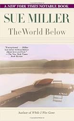 The World Below: A Novel