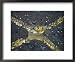 Aerial view showing an intersection in the densely populated old section of Shanghai Framed Art Poster Print by Paul Chesley, 22x18