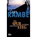 Die Spur auf dem Steg: Kriminalroman