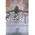 Magic or Madness (Magic or Madness Trilogy)