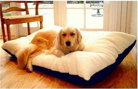 Majestic Pet 42-Inch by 60-Inch Rectangle Pet Bed X-Large, Black