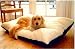 Majestic Pet 42-Inch by 60-Inch Rectangle Pet Bed X-Large, Khaki