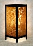 Secret Path Luminaire Accent Lamp Porcelain Lithophane Panels