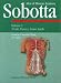 Sobotta Atlas of Human Anatomy: Trunk, Viscera, Lower Limb v. 2