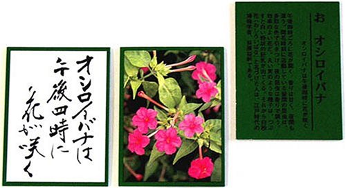 花おりおりかるた