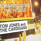 Burning Down the House