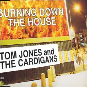 Burning Down the House by Tom Jones and The Cardigans (Audio CD - 1999) - Import