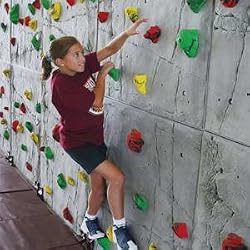 (Price/SET)Everlast Climbing 8' x 4' Superior Rock Panel