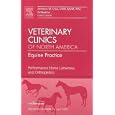 Performance Horse Lameness and Orthopedics, An Issue of Veterinary Clinics: Equine Practice (The... by  Antonio Cruz