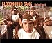 Bloodhound Gang BAD TOUCH CD 2 tabs review