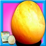 Himalayan Salt Crystal Table / Desk Lamp EGG Shape