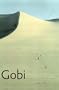 Gobi: Tracking the Desert