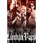 Linkin Park Rap Metal Mike Shinoda Hybrid Theory Art Poster Print - 24" X 36"