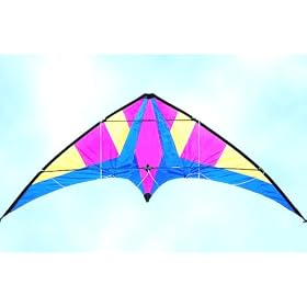 DUAL LINE CONTROL 81" STUNT SPORT KITE