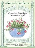 Sweet Peas Windowbox Heirloom Cupid Seeds