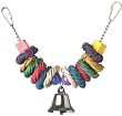 Super Bird Creations 3 By 14-inch Vine Ring Slider Bird Toy Medium by Super Bird Creations, LLC