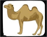 Mouse Pad with Arabian, camel, zoo, humps, kamel, Indian, captivity, mammal, animal, bactrian