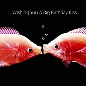 Birthday Kiss